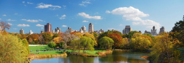 view of new york city from central park